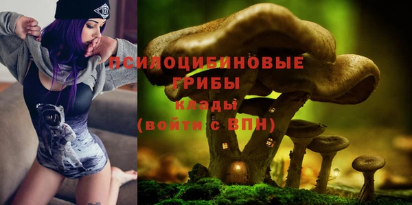 бутират Нестеровская