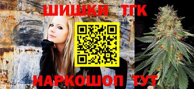 прущие грибы Гатчина