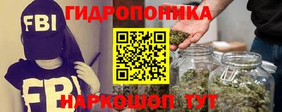 стафф Балаково