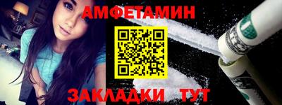 прущие грибы Гатчина