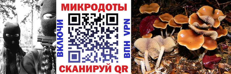 Псилоцибиновые грибы Cubensis Челябинск