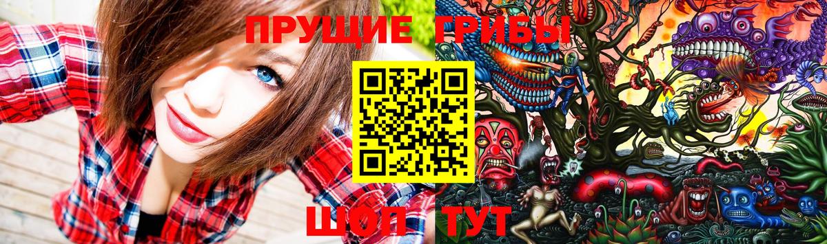 Галлюциногенные грибы Cubensis  Вход с VPN  Челябинск 